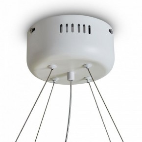 Подвесной светильник Freya Rain FR5546PL-L60W в Надыме - nadym.ok-mebel.com | фото 9