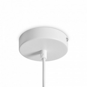 Подвесной светильник Freya Shapes FR5530PL-L10W в Надыме - nadym.ok-mebel.com | фото 5