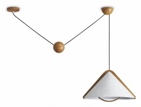 Подвесной светильник Freya Umbra FR5554CL-01T в Надыме - nadym.ok-mebel.com | фото
