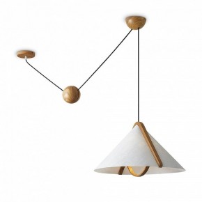Подвесной светильник Freya Umbra FR5554CL-01T в Надыме - nadym.ok-mebel.com | фото 2