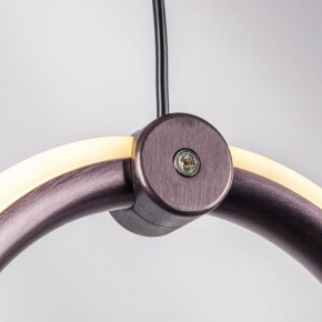 Подвесной светильник Lightstar Caramello 796139 в Надыме - nadym.ok-mebel.com | фото 5