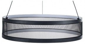 Подвесной светильник Lumion Felisiti 8103/38L в Надыме - nadym.ok-mebel.com | фото