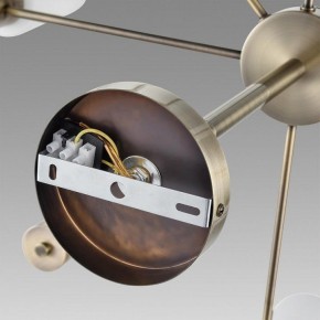 Подвесной светильник Lumion Mave 8100/8C в Надыме - nadym.ok-mebel.com | фото 6
