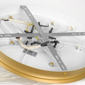 Подвесной светильник Lussole Hopkins LSP-7404 в Надыме - nadym.ok-mebel.com | фото 4