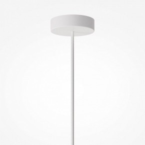 Подвесной светильник Maytoni Toys MOD405PL-01W в Надыме - nadym.ok-mebel.com | фото 7