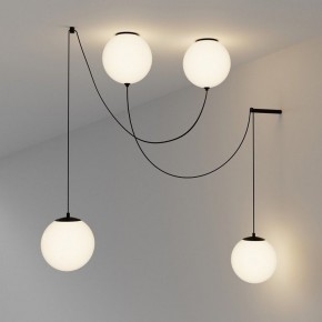 Подвесной светильник Maytoni Twins MOD427PL-L20B3K1 в Надыме - nadym.ok-mebel.com | фото 4