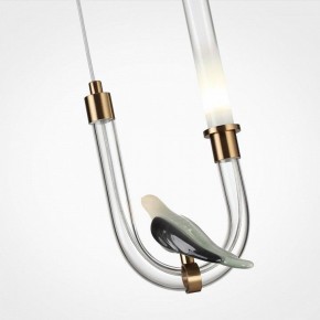 Подвесной светильник Odeon Light Lark 5431/2L в Надыме - nadym.ok-mebel.com | фото 6