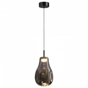Подвесной светильник Odeon Light Nave 5098/4LC в Надыме - nadym.ok-mebel.com | фото 2