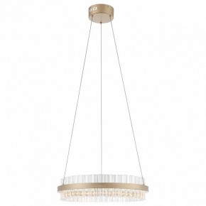 Подвесной светильник ST-Luce Cherio SL383.203.01 в Надыме - nadym.ok-mebel.com | фото 3