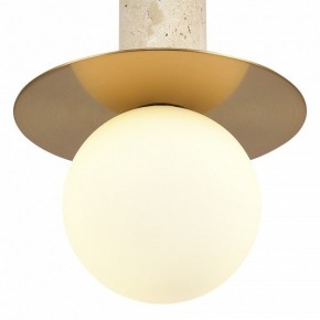 Подвесной светильник ST-Luce Earthy SL1194.303.01 в Надыме - nadym.ok-mebel.com | фото 5