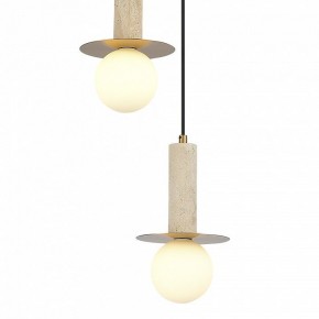 Подвесной светильник ST-Luce Earthy SL1194.303.03 в Надыме - nadym.ok-mebel.com | фото 4