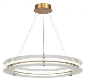 Подвесной светильник ST-Luce FAGY SL6245.203.01 в Надыме - nadym.ok-mebel.com | фото 2