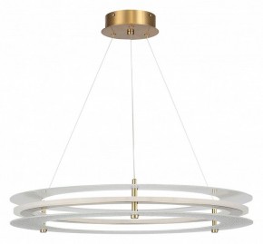 Подвесной светильник ST-Luce FAGY SL6245.203.01 в Надыме - nadym.ok-mebel.com | фото 3