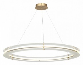 Подвесной светильник ST-Luce FAGY SL6245.213.01 в Надыме - nadym.ok-mebel.com | фото 4