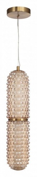 Подвесной светильник ST-Luce SAGUARO SL6144.303.01 в Надыме - nadym.ok-mebel.com | фото 3