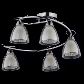 Потолочная люстра Arti Lampadari Paola, Tavenna Nickel Paola E 1.1.5 N в Надыме - nadym.ok-mebel.com | фото 2