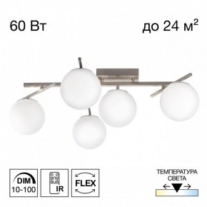 Потолочная люстра Citilux Dorsy CL223151 в Надыме - nadym.ok-mebel.com | фото 2