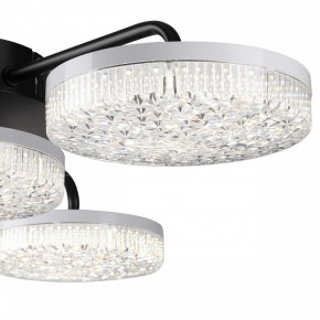 Потолочная люстра Lumion Didana 8236/4CL в Надыме - nadym.ok-mebel.com | фото 7