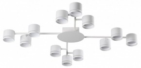 Потолочная люстра Lumion Gareta 8235/12C в Надыме - nadym.ok-mebel.com | фото