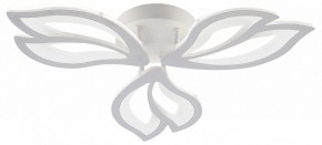 Потолочная люстра Natali Kovaltseva FORTUNA LED LAMPS 81107/2C в Надыме - nadym.ok-mebel.com | фото