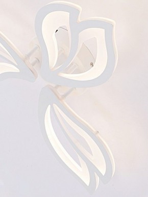 Потолочная люстра Natali Kovaltseva FORTUNA LED LAMPS 81107/2C в Надыме - nadym.ok-mebel.com | фото 11