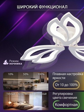 Потолочная люстра Natali Kovaltseva FORTUNA LED LAMPS 81107/2C в Надыме - nadym.ok-mebel.com | фото 5