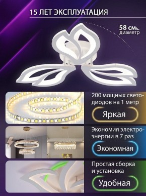 Потолочная люстра Natali Kovaltseva FORTUNA LED LAMPS 81107/2C в Надыме - nadym.ok-mebel.com | фото 6