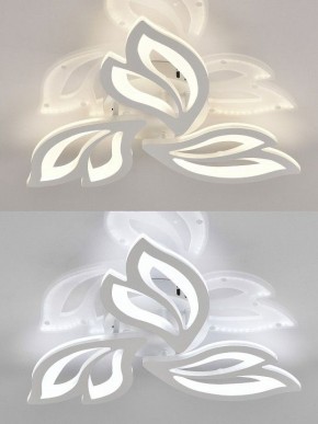 Потолочная люстра Natali Kovaltseva  LED LAMPS 81426 в Надыме - nadym.ok-mebel.com | фото 4