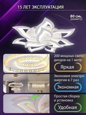 Потолочная люстра Natali Kovaltseva OLIMP LED SMART 84005 в Надыме - nadym.ok-mebel.com | фото 5
