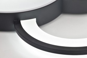 Потолочная люстра Rivoli Aliona Б0066452 в Надыме - nadym.ok-mebel.com | фото 10