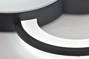 Потолочная люстра Rivoli Aliona Б0066452 в Надыме - nadym.ok-mebel.com | фото 12