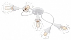 Потолочная люстра Vitaluce V3037 V3037-0/5PL в Надыме - nadym.ok-mebel.com | фото
