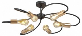 Потолочная люстра Vitaluce V3076 V3076-1/6PL в Надыме - nadym.ok-mebel.com | фото 3