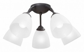 Потолочная люстра Vitaluce V3184 V3737-2/5PL в Надыме - nadym.ok-mebel.com | фото