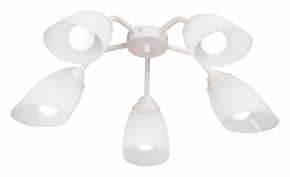 Потолочная люстра Vitaluce V31950 V31950/5PL в Надыме - nadym.ok-mebel.com | фото