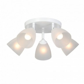 Потолочная люстра Vitaluce V4355 V4355-0/5PL в Надыме - nadym.ok-mebel.com | фото 2