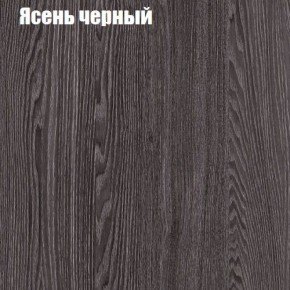 Прихожая ДИАНА-4 сек №11 (Ясень анкор/Дуб эльза) в Надыме - nadym.ok-mebel.com | фото 3