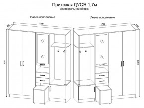 Прихожая Дуся 1.7 УНИ (Дуб Бунратти/Белый Бриллиант) в Надыме - nadym.ok-mebel.com | фото 2