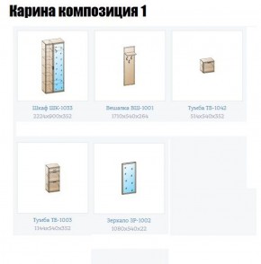 Прихожая Карина (модульная) в Надыме - nadym.ok-mebel.com | фото 4