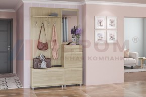 Прихожая Мелисса композиция 8 (Ясень Асахи) в Надыме - nadym.ok-mebel.com | фото