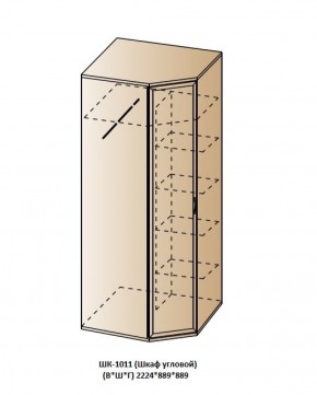 ШК-1011 (Шкаф угловой) в Надыме - nadym.ok-mebel.com | фото