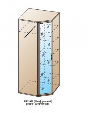 ШК-1012 (Шкаф угловой) в Надыме - nadym.ok-mebel.com | фото