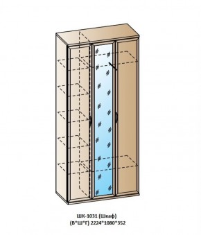 ШК-1031 (Шкаф) в Надыме - nadym.ok-mebel.com | фото