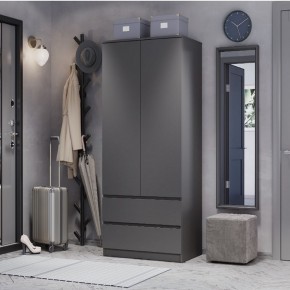 Шкаф 2-х створчатый Симпл ШК-03 (графит) в Надыме - nadym.ok-mebel.com | фото