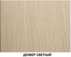 Шкаф для одежды №609 "Инна" Денвер светлый (*без полок) в Надыме - nadym.ok-mebel.com | фото 4