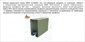 Шкаф-купе 1500 серии NEW CLASSIC K3+K3+B2+PL1 (2 ящика+1 штанга) профиль «Капучино» в Надыме - nadym.ok-mebel.com | фото 5