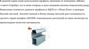 Шкаф-купе 2250 серии SILVER S3+S1+S3Z B22+PL2 (по 2 ящика лев/прав+1штанга+1 полка) профиль «Серебро» в Надыме - nadym.ok-mebel.com | фото 4