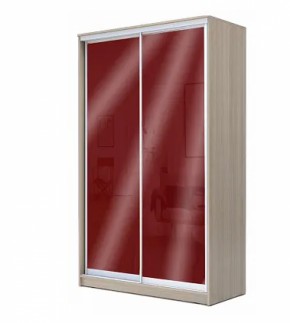 Шкаф-купе ХИТ 22-15-22 (620) в Надыме - nadym.ok-mebel.com | фото 8