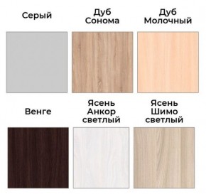 Шкаф-купе ХИТ 22-4-17-55 (420) в Надыме - nadym.ok-mebel.com | фото 3