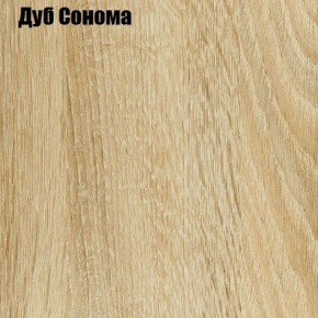 Шкаф-купе Лофт 2400 Шк24-60 (Дуб Сонома) в Надыме - nadym.ok-mebel.com | фото 4
